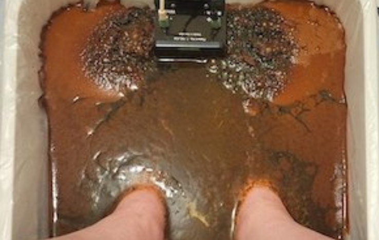 IonCleanseDetoxFootBath_no title_Starrose_SimplyBookImage_2July2025